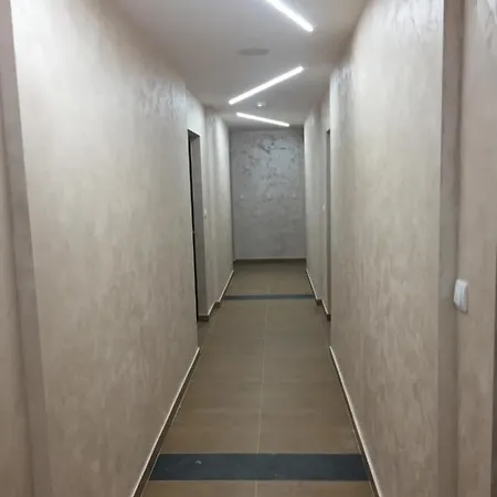 Apartman Savic *